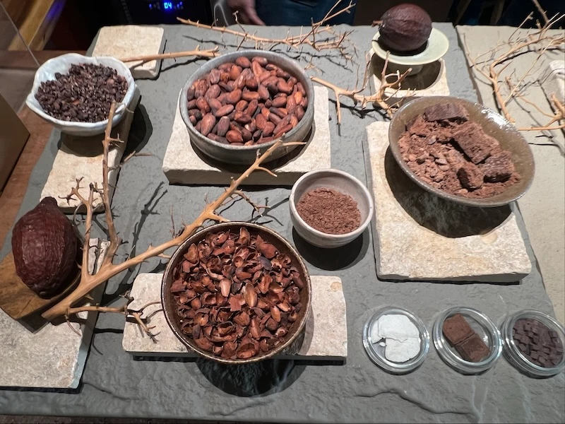 Fair Chocolateに展示されたカカオ豆やカカオニブとチョコレート原料